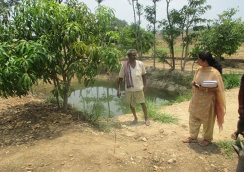 Tree-based farming and water conservation
