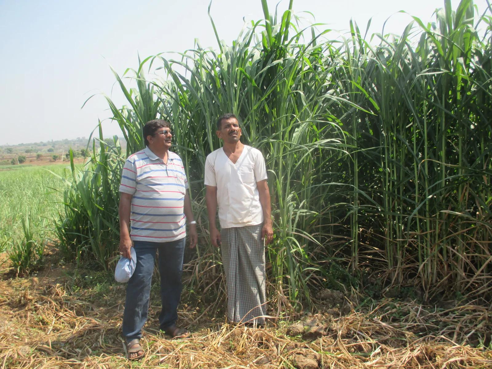 Field monitoring and farmer engagement under the programme